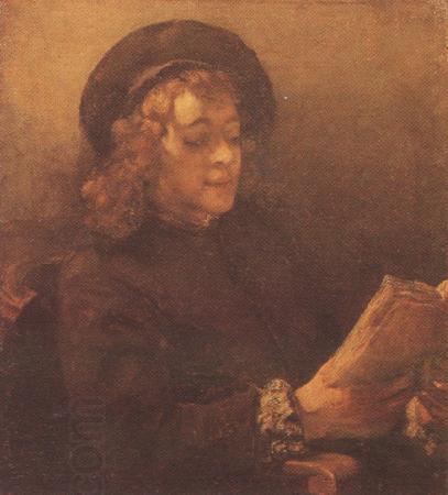 REMBRANDT Harmenszoon van Rijn Titus Reading (mk33) oil painting picture